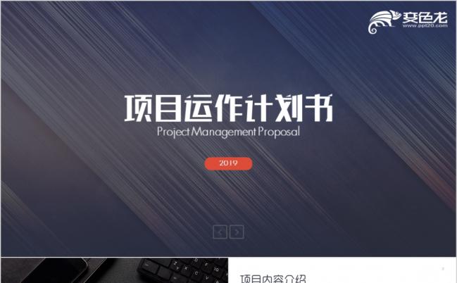 项目案例介绍市场营销ppt模板缩略图