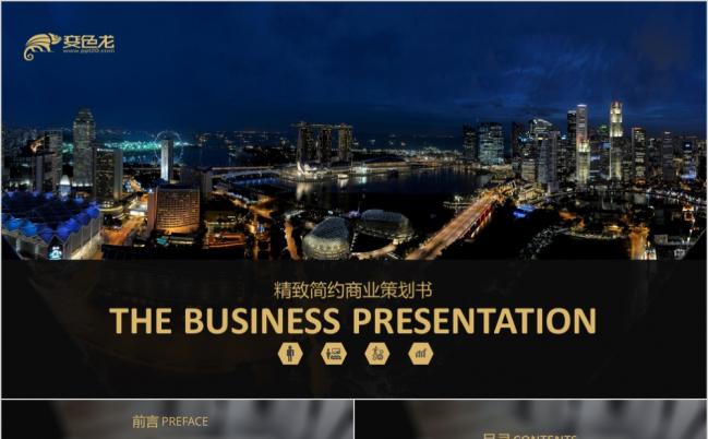 精致简约商业策划书PPT模板缩略图