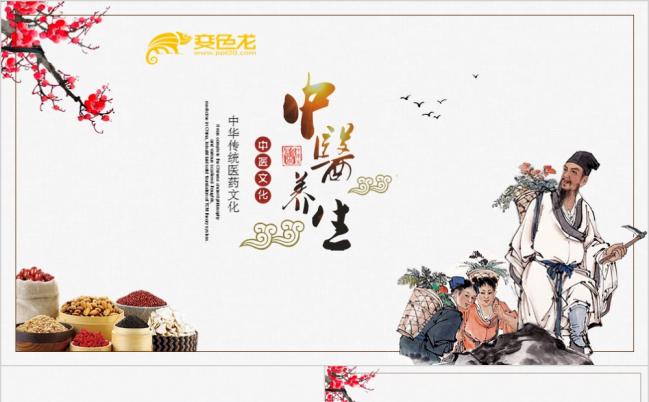 2019简约传统中医学中草药文化PPT模板缩略图