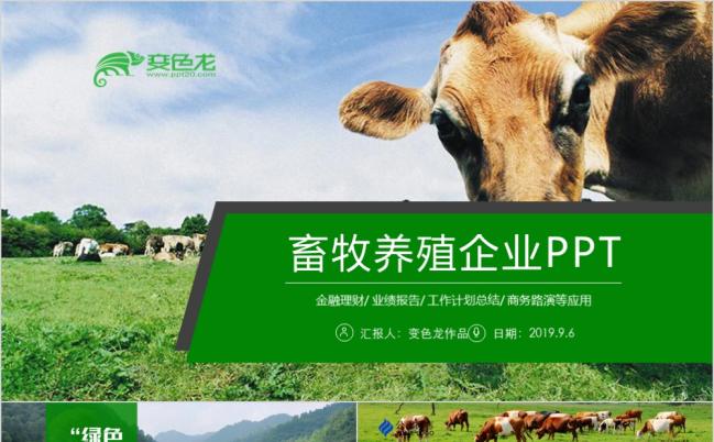 2019草原畜牧业奶牛养殖乳业PPT模板缩略图