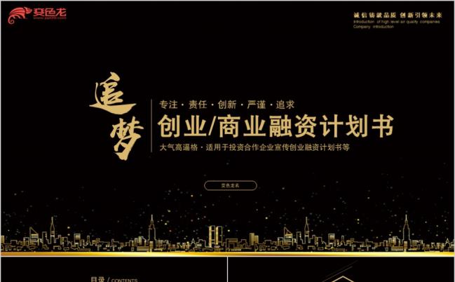大气黑金商业计划书商业策划书PPT模板缩略图