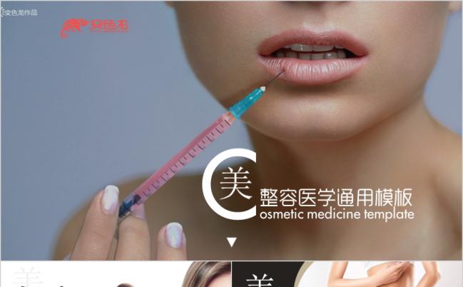 精致完美医学美容微整形工作计划ppt模板缩略图