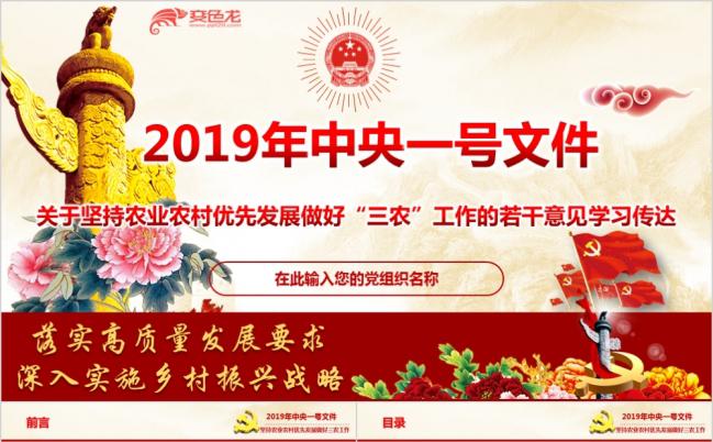 整洁大方2019年中央一号文件学习传达专题ppt模版缩略图