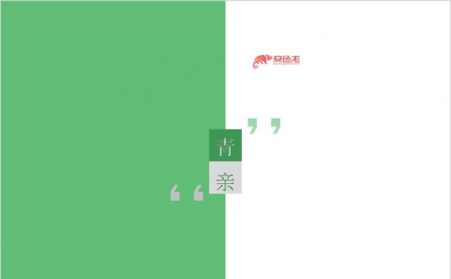 青年主题景观设计作品PPT模板缩略图
