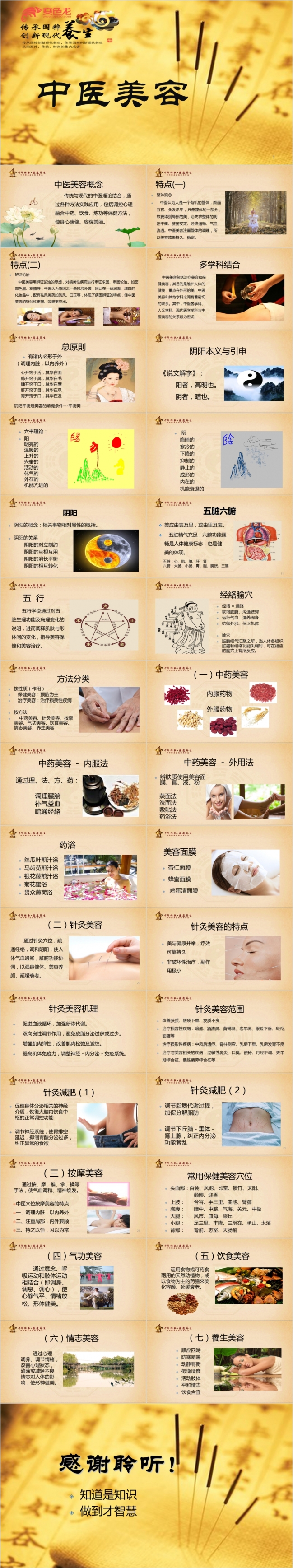 中国古韵风中医美容PPT模板