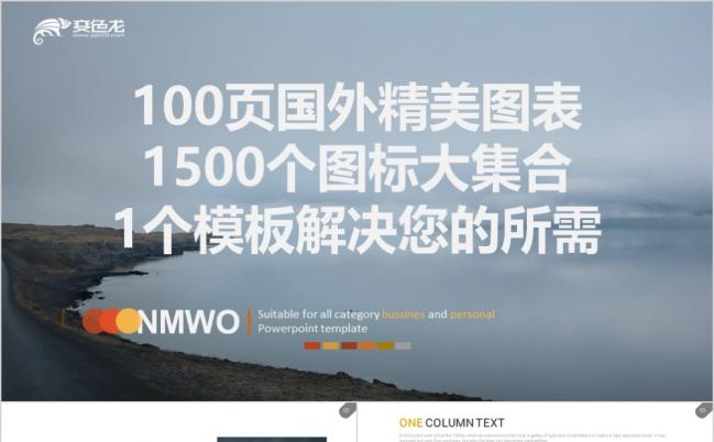 精品100页国外精美图表1500图标大集合PPT模版缩略图