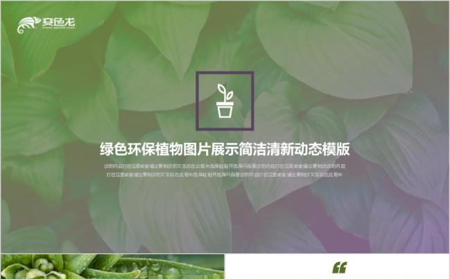 简洁清新绿色环保植物图片展示PPT模版缩略图