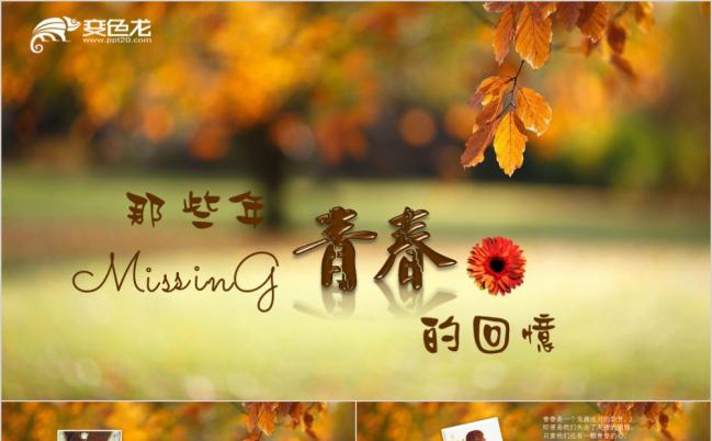  唯美文艺秋意树叶个人写真电子相册PPT模板缩略图