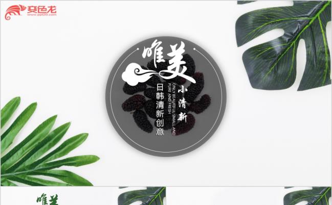 2019绿色叶子唯美小清新日式日本日系风格粉色女性总结PPT模板缩略图