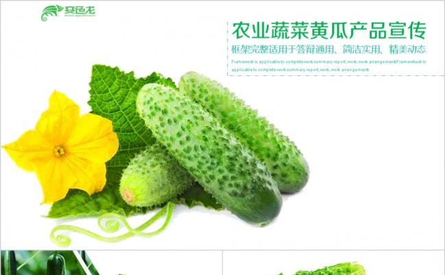 绿色健康农产品蔬菜黄瓜产品宣传PPT模板缩略图