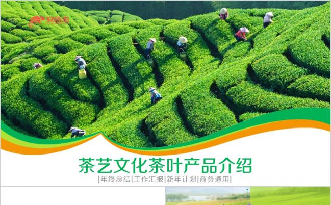 清新田野茶叶文化茶叶产品介绍年终总结工作汇报PPT模板缩略图