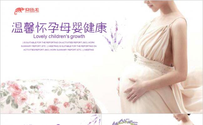 2019母婴孕妇怀孕健康工作汇报PPT模板缩略图