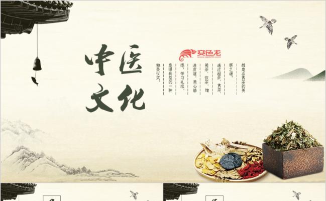 中国传统中医学中医文化中草药PPT模板缩略图