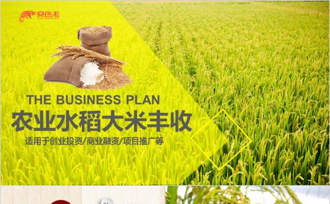 丰收季稻谷粮食农民农业金秋稻谷动态ppt模板缩略图