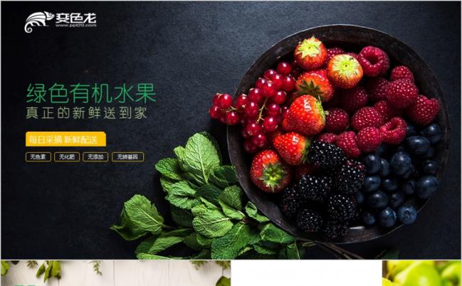 精致大气绿色有机水果健康养生宣讲PPT模版缩略图