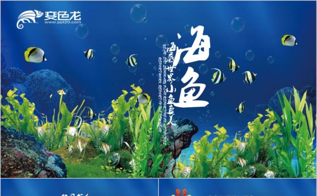 唯美时尚海洋公园海底世界教育课件推广PPT模板缩略图