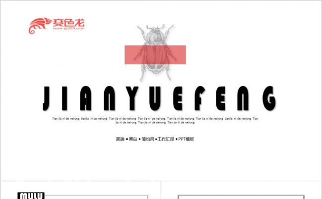 极简时尚黑白高端工作汇报PPT模板缩略图