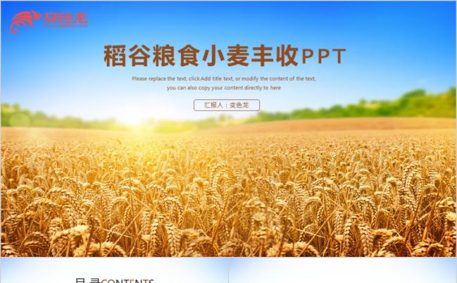 农业品水稻小麦粮食产品介绍PPT模板缩略图