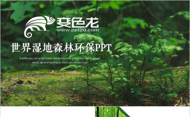 2019绿色环保世界湿地森林日动态PPT模板缩略图