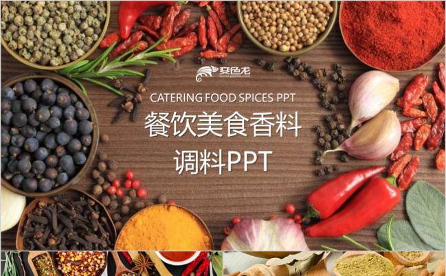 简约创意美食餐饮调料介绍ppt模板缩略图