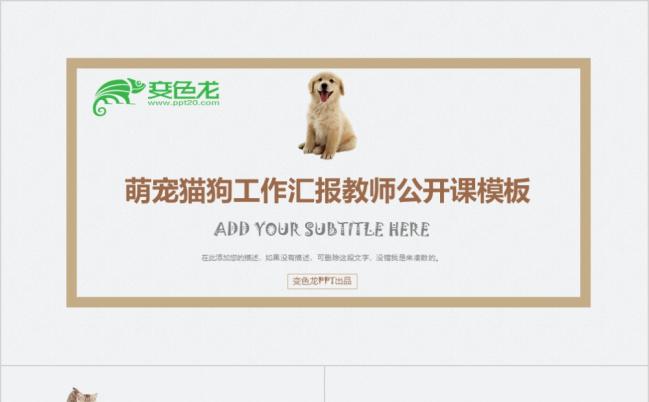 棕色萌宠猫狗工作总结教师公开课年终汇报PPT模板缩略图