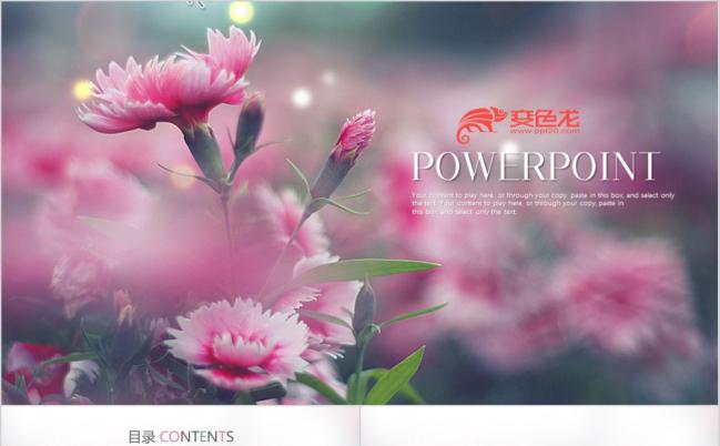 温馨自然风唯美康乃馨母亲节ppt动态模板缩略图