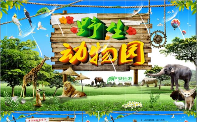 生态乐园主题动物园简介ppt模板缩略图