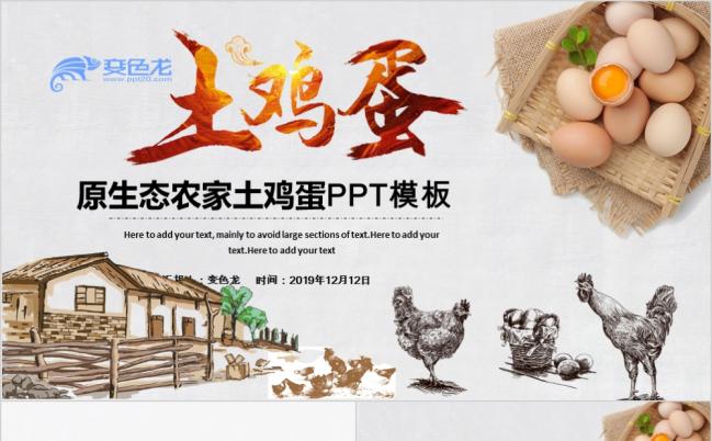 精致手绘原生态农家土鸡蛋宣传ppt模板缩略图