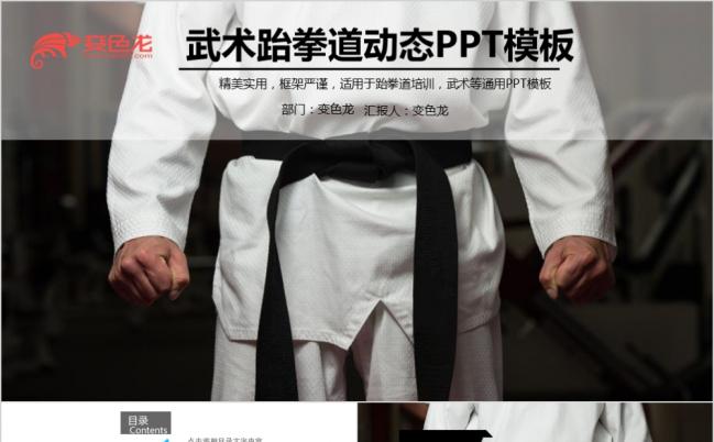 武术功夫跆拳道空手道PPT模板缩略图