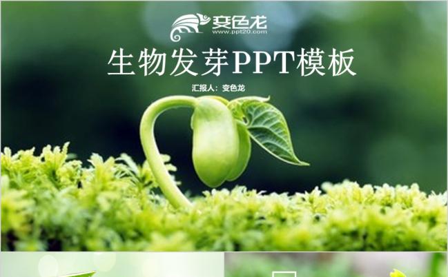 清新春天希望发芽绿色生物课件动态ppt模板缩略图