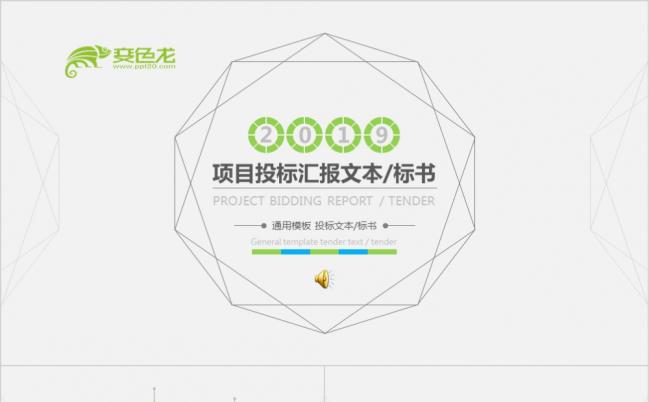 2019极简精美项目投标汇报文本PPT模版缩略图