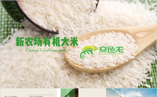 整洁大方农业产品有机大米商业计划书PPT模板缩略图