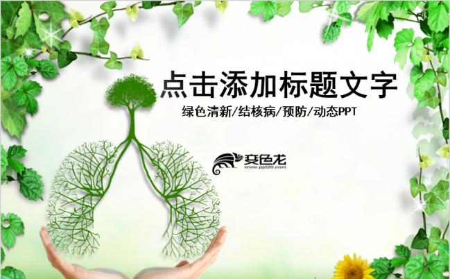 2019世界结核病防治日工作总结汇报PPT模板缩略图