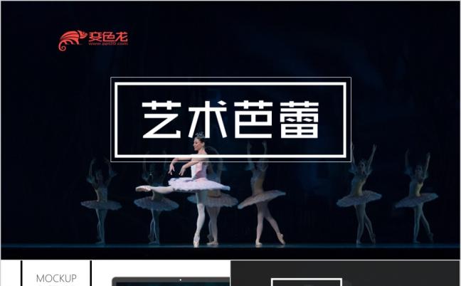 艺术芭蕾舞蹈芭蕾舞服侍舞鞋芭蕾舞培训古典芭蕾工作汇报PPT模板缩略图
