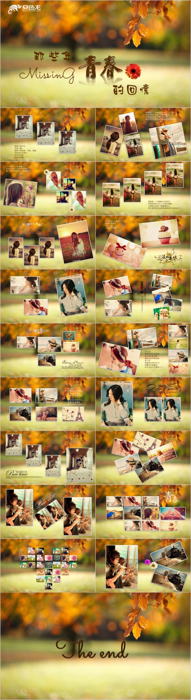  唯美文艺秋意树叶个人写真电子相册PPT模板