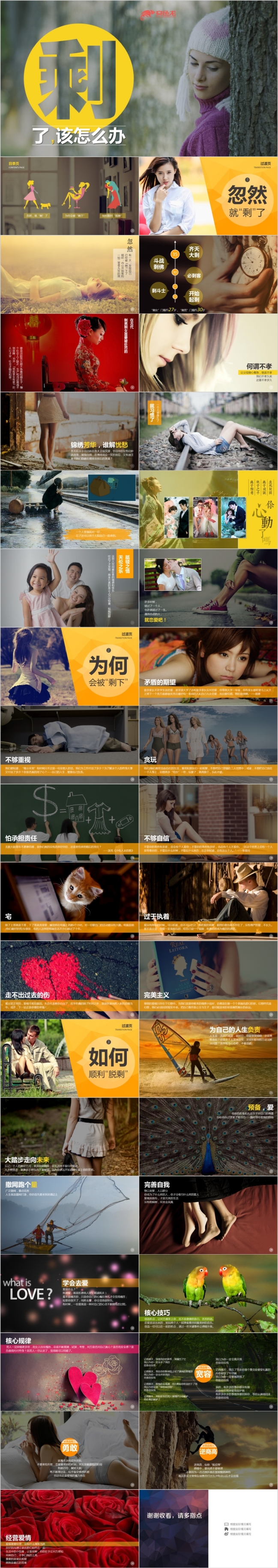 2019全图型剩了该怎么办恋爱指南单身沙龙PPT模板