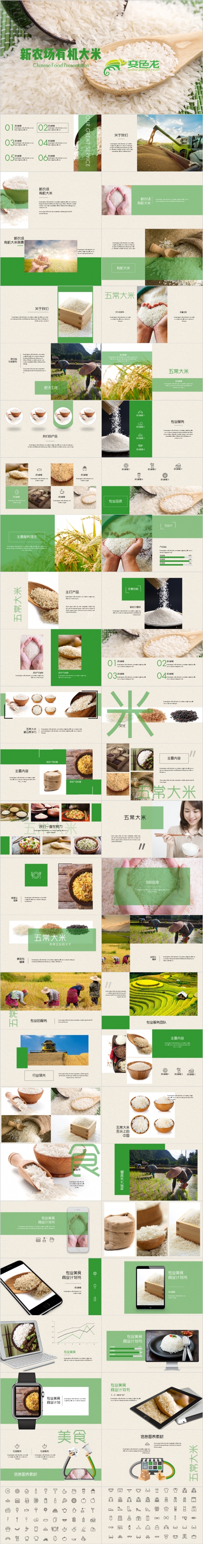 整洁大方农业产品有机大米商业计划书PPT模板