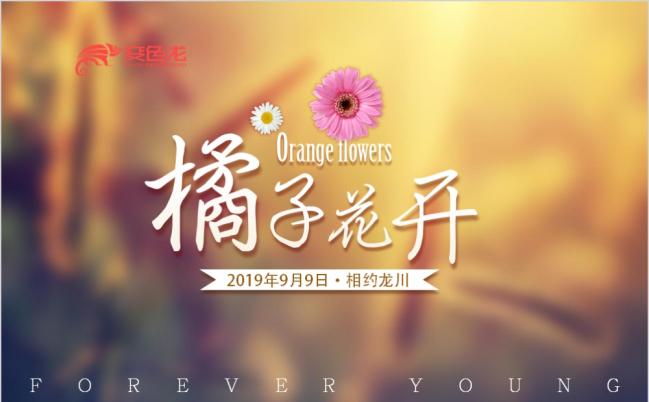 橘子花开唯美青春毕业季同学聚会毕业纪念册毕业相册ppt模版缩略图