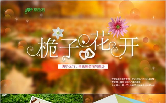 怀旧风20年同学聚会唯美电子相册大学联谊会毕业纪念册PPT模板缩略图
