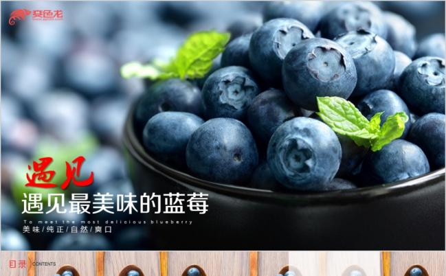 绿色环保农业创业项目科技发展水果蓝莓水果健康饮食PPT模板缩略图