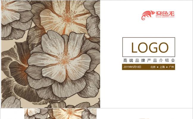 产品介绍产品推广品牌宣传项目展示PPT模板缩略图