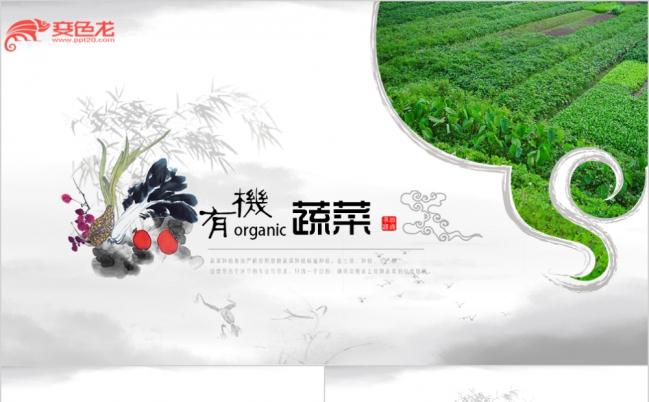 农业有机蔬菜种植基地农业动态ppt模板缩略图