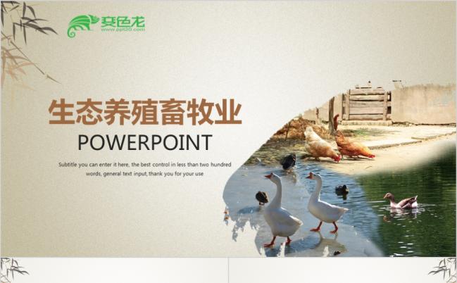 精致简约生态养殖畜牧业动态PPT模板缩略图