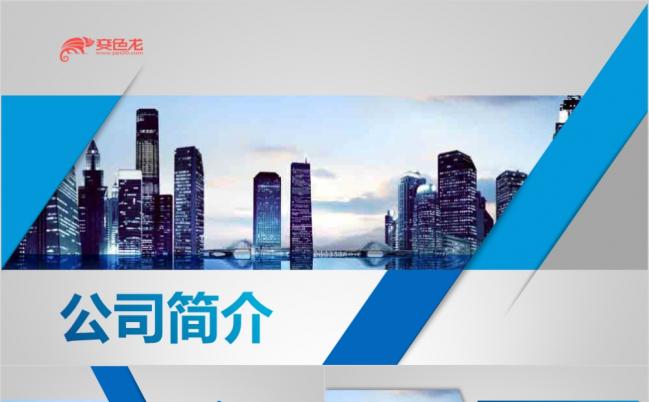 2019蓝色商务微粒体企业文化产品宣传PPT模版缩略图
