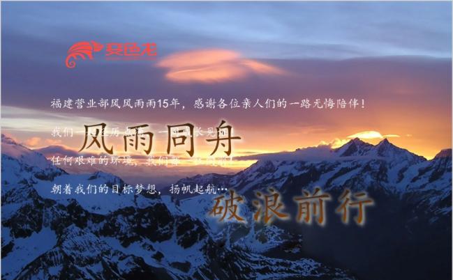 2019精品公司年会表彰大会企业发展回顾展望动态PPT模板缩略图