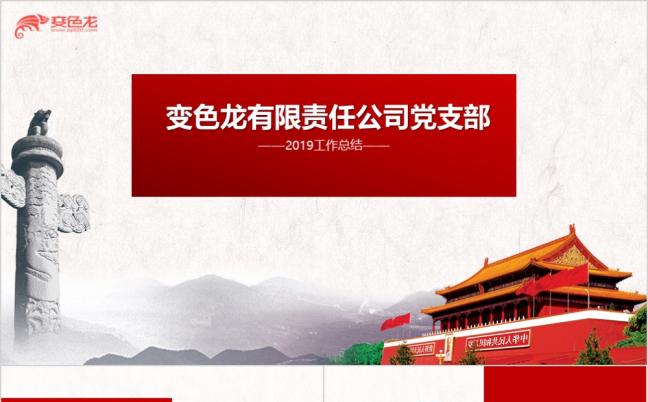2019简约精美公司党建工作汇报总结PPT模版缩略图