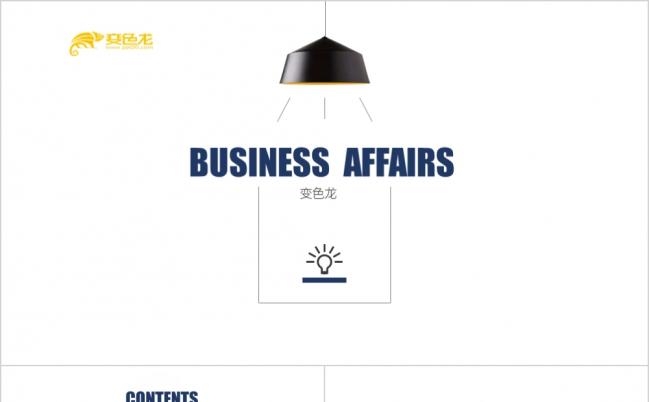 欧式简约时尚工作汇报ppt模板缩略图