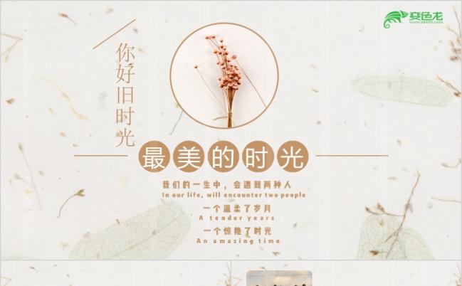清新唯美毕业季同学聚会动态PPT模板缩略图