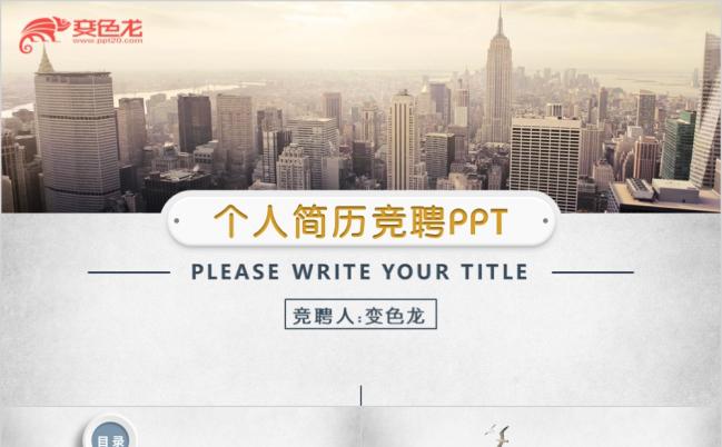 精美时尚简约微粒体个人简历职位竞聘PPT模版缩略图