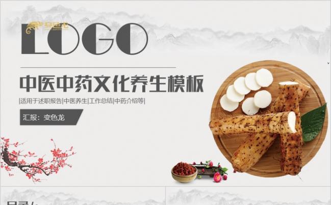 灰色高端大气中医药文化养生述职报告中药介绍工作总结PPT模板缩略图